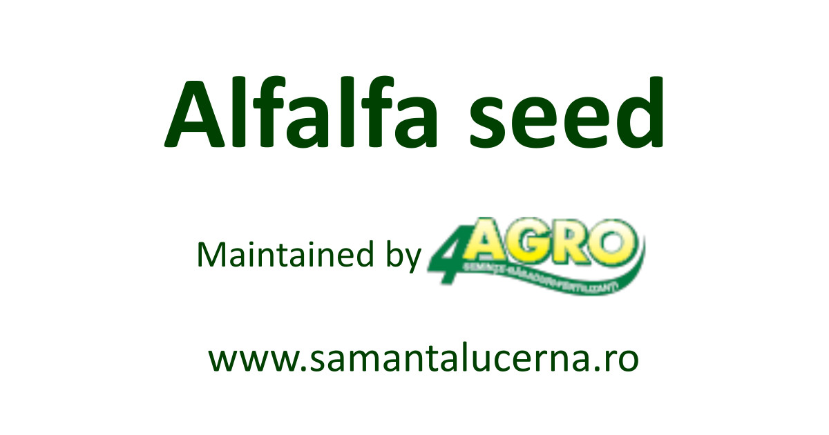 Alfalfa seed – Sămânță lucernă – Patru Agro SRL, Romania – www.samantalucerna.ro